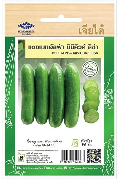 Generic بذور خيار هجينة عالية الجودة للزراعة