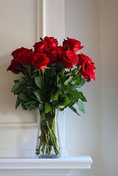 Diana Accessory 1. Kalite 10Lu Kırmızı Kadife Gül Ev Vazo Dekor Süsü Özel Gün...