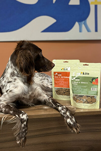 kito Muz & Balkabağı Cookie 100 gr (Köpekler için Ödül Kurabiyesi)