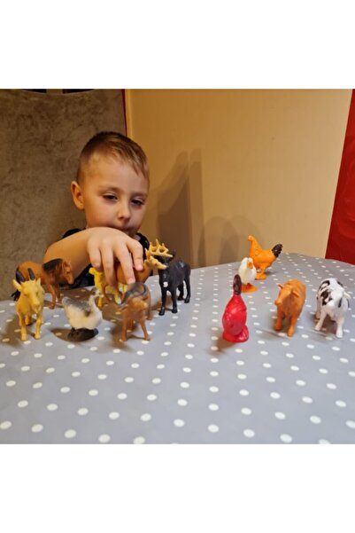 zola Set of 12 domestic animal figurines, Zola, different sizes