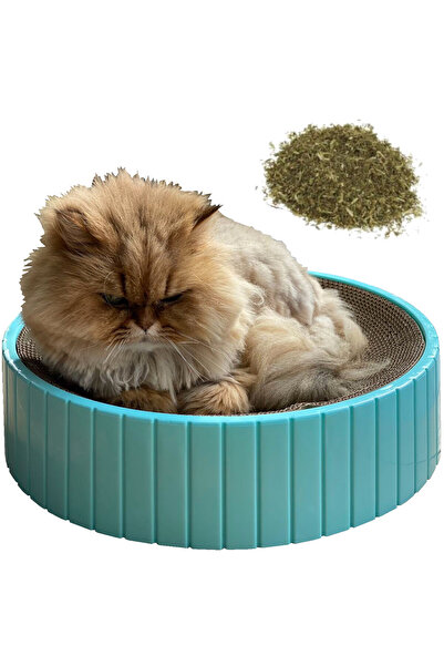 Other SCRATCHING POST, LOUNGE, MAT, CATNIP, FREE