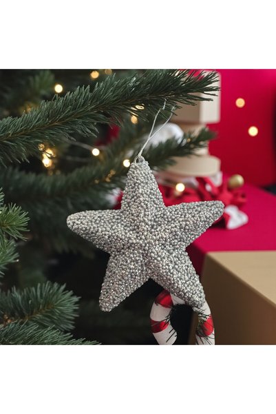 kapella Christmas Tree Ornament 15cm Luxury Star Silver Ast7214