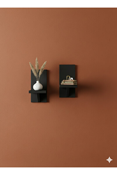 VEO STORE 2 Pieces Modern Wall Shelf