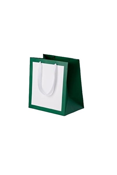 Generic Red Dot Gift® 10 Pack White with Green (15x21x15 cm) Border Gift Bags, Shopping Bag Party Favor Bag