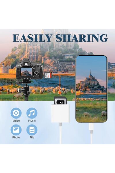 Generic USB-C 2-in-1 SD/MicroSD Card Reader (Lightning & USB A/C, Plug-and-Play)