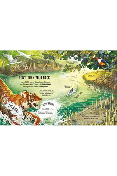 Usborne See Inside Wild Places
