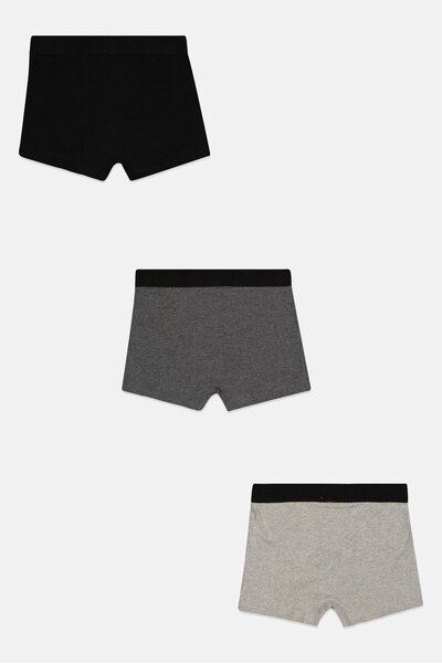 Ed Hardy Kids Boy 3 Packs Brand Logo Boxers, Multicolor