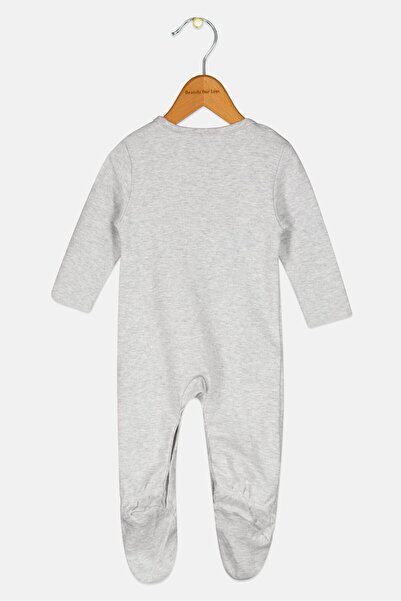 Disney Baby Toddlers Boy Long Sleeve Graphic Print Bodysuit, Grey