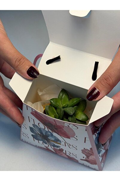 FİDAN PAZARI NİŞAN SÖZ HEDİYELİĞİ SAPLI ÇANTA VE SUKULENT PEMBE RENKLİ MODEL(20 ADET)