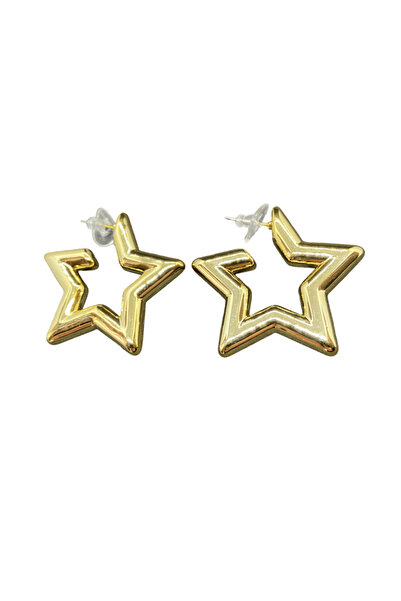 FM Gold Color Star Model Stylish Special 316L Light Steel Earrings |   Modern and Fun Design