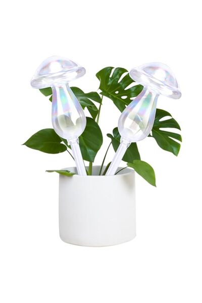 Generic BIGTHREE Mushroom Plant Waterer, 2 Pcs Glass Plant Watering Globes, S...