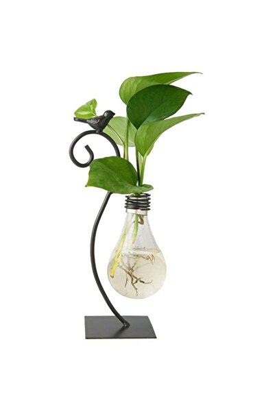 Generic eWINNER Desktop Glass Flower Pot Vase with Retro Solid Wood Small Ben...