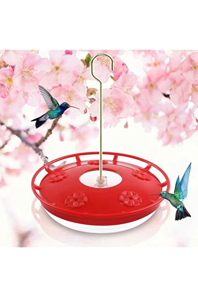 Generic ROUNY 16 OZ Hanging Bird Feeder Tray for Outdoor, 5 Feeder Ports Ant ...