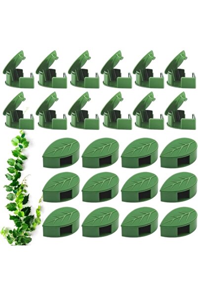 Generic Plant Wall Clips | 60 Pcs Climbing Plant Clips | Plant Hooks For Vine...