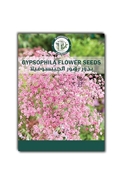 Generic Gypsophila Flower Seeds for Planting - Baby's Breath Seeds - Pink Flo...