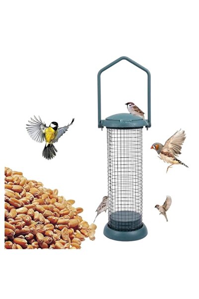 Generic Outdoor Bird Feeder, Wild Bird Feeder, Hanging Bird Seed Feeder Tube ...