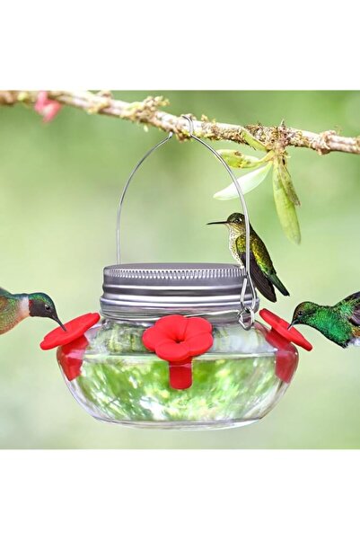 Generic Echozon Glass Hummingbird Feeder for Outdoors Hanging, Leak Proof Top...