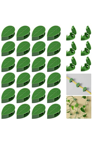 Generic 30 Pieces Plant Climbing Wall Fixture Clips Self-Adhesive Plant Fixer...