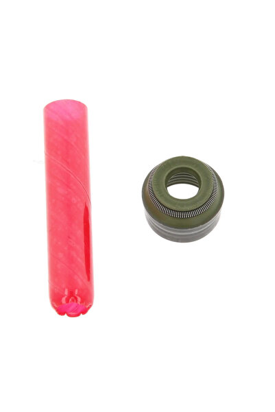 CORTECO Set Garnituri Ax Supape Renault Clio 2/Clio 3/Clio 4