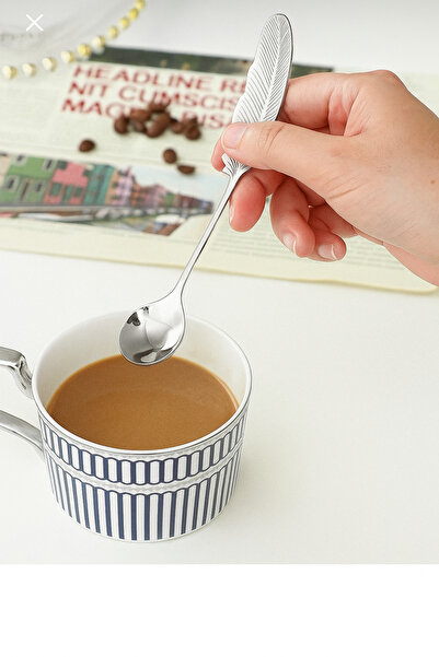 Turkco Silver Color Feather Design Stylish Tea Spoon & Dessert Spoon – Set of 6