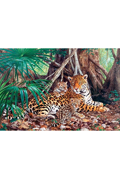 Castorland Puzzle 3000 pieces Jaguars in the Jungle 300280