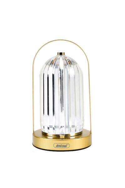 Andowl Decorative LED Lamp, 3 Lighting Modes, Adjustable Brightness, Touch Control, USB Rechargeable