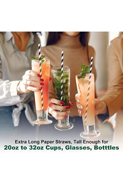 4basix Eco-Friendly Paper Straws 100 PCS Black Biodegradable & Compostable