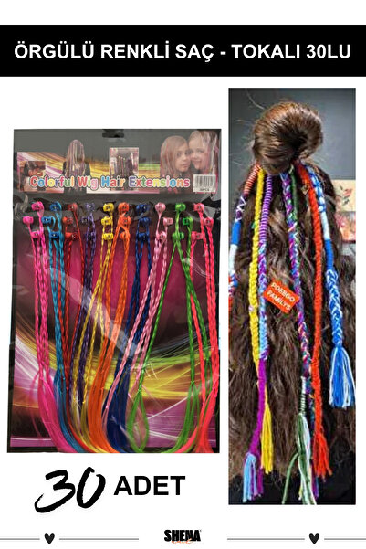 Shena 30 Pieces of Braided Colorful Hair Clips