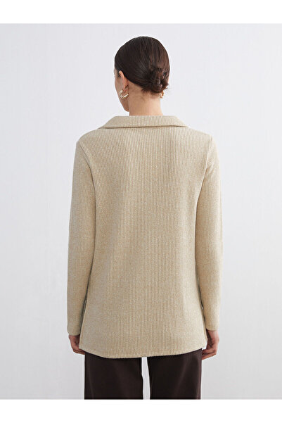 LC Waikiki Lcw Comfort Beige Polo Neck Shiny Blouse