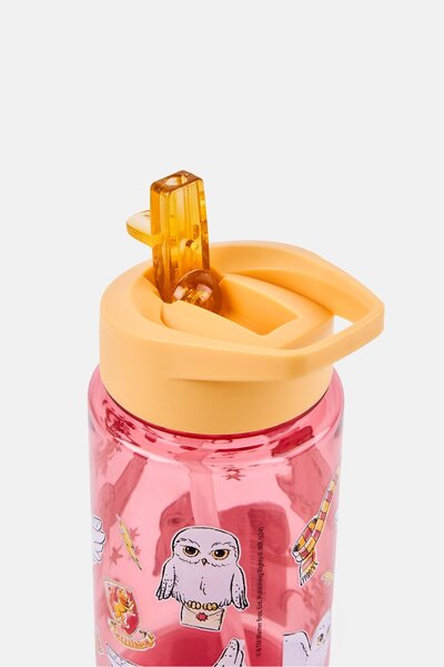 P:OS Handels GmbH Plastic Harry Potter Water Bottle 450 ml, Multicolor