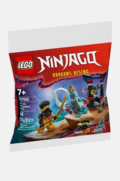 LEGO Ninjago 30700 Arin vs Dragonian Battle