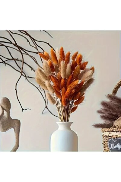 Dekora Çiçek Kurutulmuş Pamuk Otu Tavşan Kuyruğu Gelin Buketi Aranjman Çiçeği Lagurus Doğal ve Turuncu 80 Dal