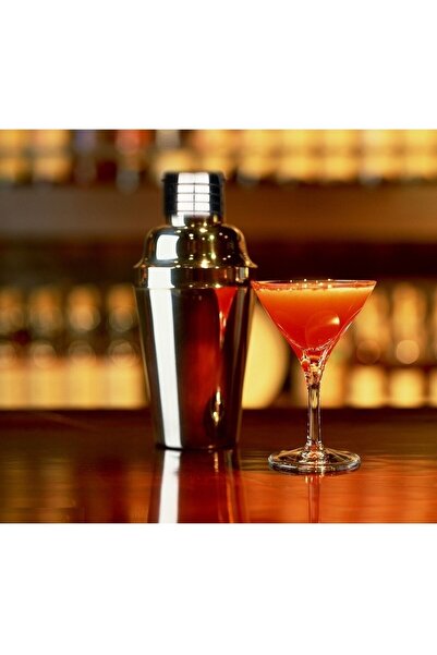 MG Martini/Cocktail Shaker, Stainless Steel 3-Pieces, 500ml