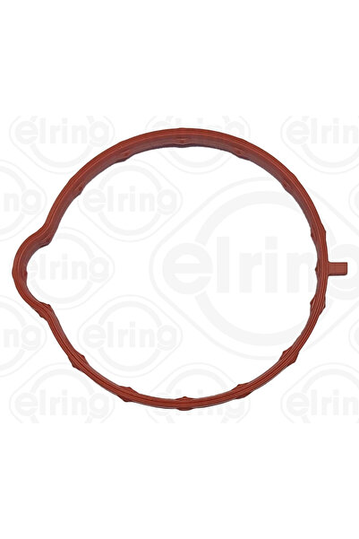 ELRING Garnitura Carcasa Galerie Admisie Carcasa Clapeta Acceleratie Ford (Ch...