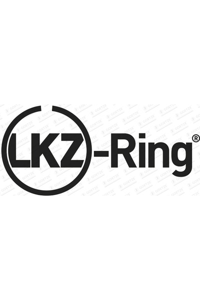 GOETZE ENGINE Set Segmenti Piston Citroen Berlingo / Berlingo First Microbus/...