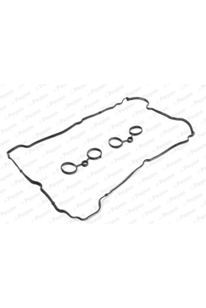 PAYEN Set Garnituri Capac Supape Citroen C4 1/C4 2/C4 Grand Picasso 1 Mini Mini