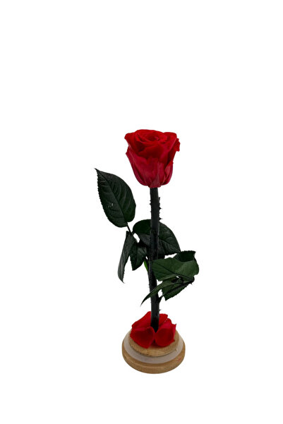 B&D B&D Décor Flower Tube with Medium Red rose