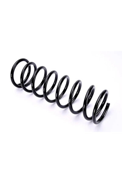 MAGNUM TECHNOLOGY Arc Spiral Puntea Spate Ford Focus 1