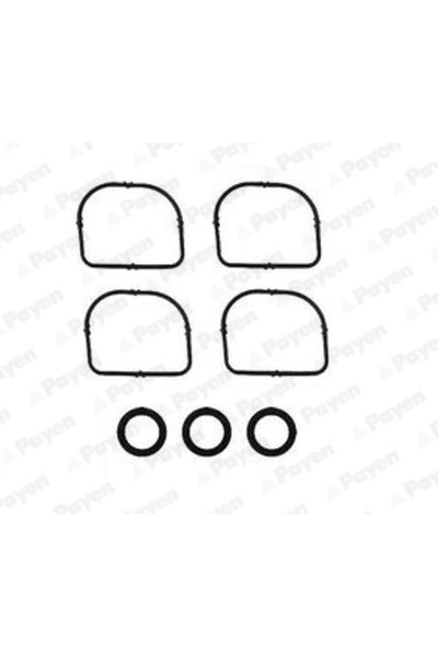 PAYEN Set Garnituri Galerie Admisie Bmw 1/3/5 Bmw (Brilliance) 3 Series/5 Ser...