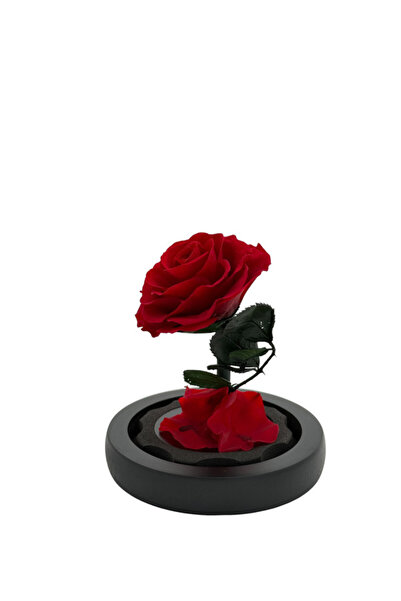 B&D B&D Décor Flower Glass Tube with Small Red rose