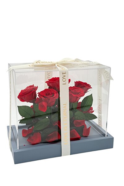 BİNDAWOOD B&D Décor Flower Box with roses