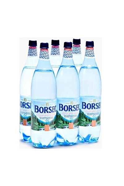 Borsec Apa minerala carbogazoasa bax 1L x 6 sticle