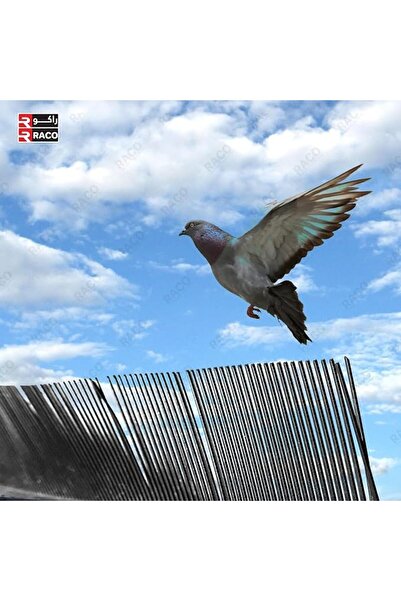 Raco Plastic Bird Spike 1 Meter - Pigeon Spikes for Outdoor Flexible Roof & Wall (100, BLACK)