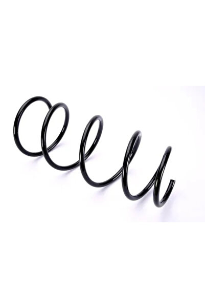 MAGNUM TECHNOLOGY Arc Spiral Punte Fata Renault Clio 2