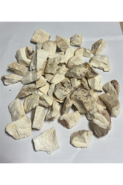 Aktar Depo Yılan Burçağı-gavur Pancarı Kökü