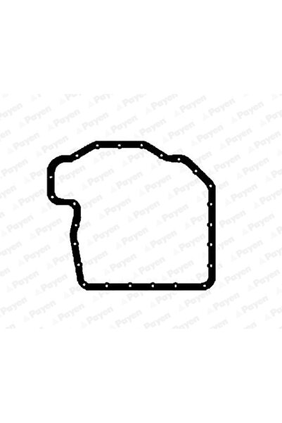 PAYEN Garnitura Baie Ulei Bmw 5/7/8