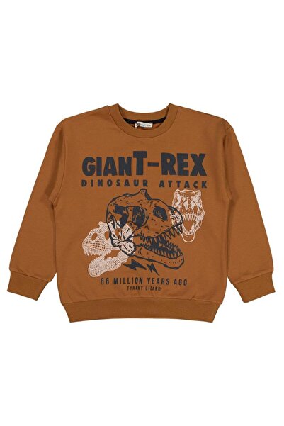 Civil Boys Φούτερ Giant Rex με στάμπα για 6-9 ετών - Καφέ για 6-7 ετών