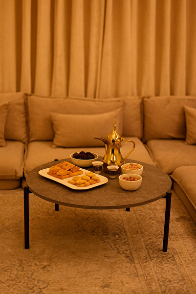 MARIA HOMES Minimalist Round Coffee Table in Gray with Black Metal Legs – Modern Center Table 80×30 cm