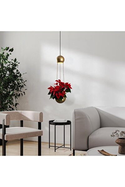 MOİRA Verde Tekli Saksı Sarkıt Avize Parlak Gold, Modern Dekoratif Çiçeklik T...