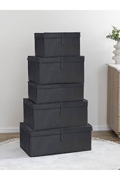 NiHaLCo 2 Pieces Maxi Box Storage, Storage Organizer Box, Storage Box, Anthracite Gray
